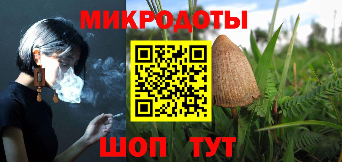 Россошь  Галлюциногенные грибы Psilocybe  Вход с VPN 